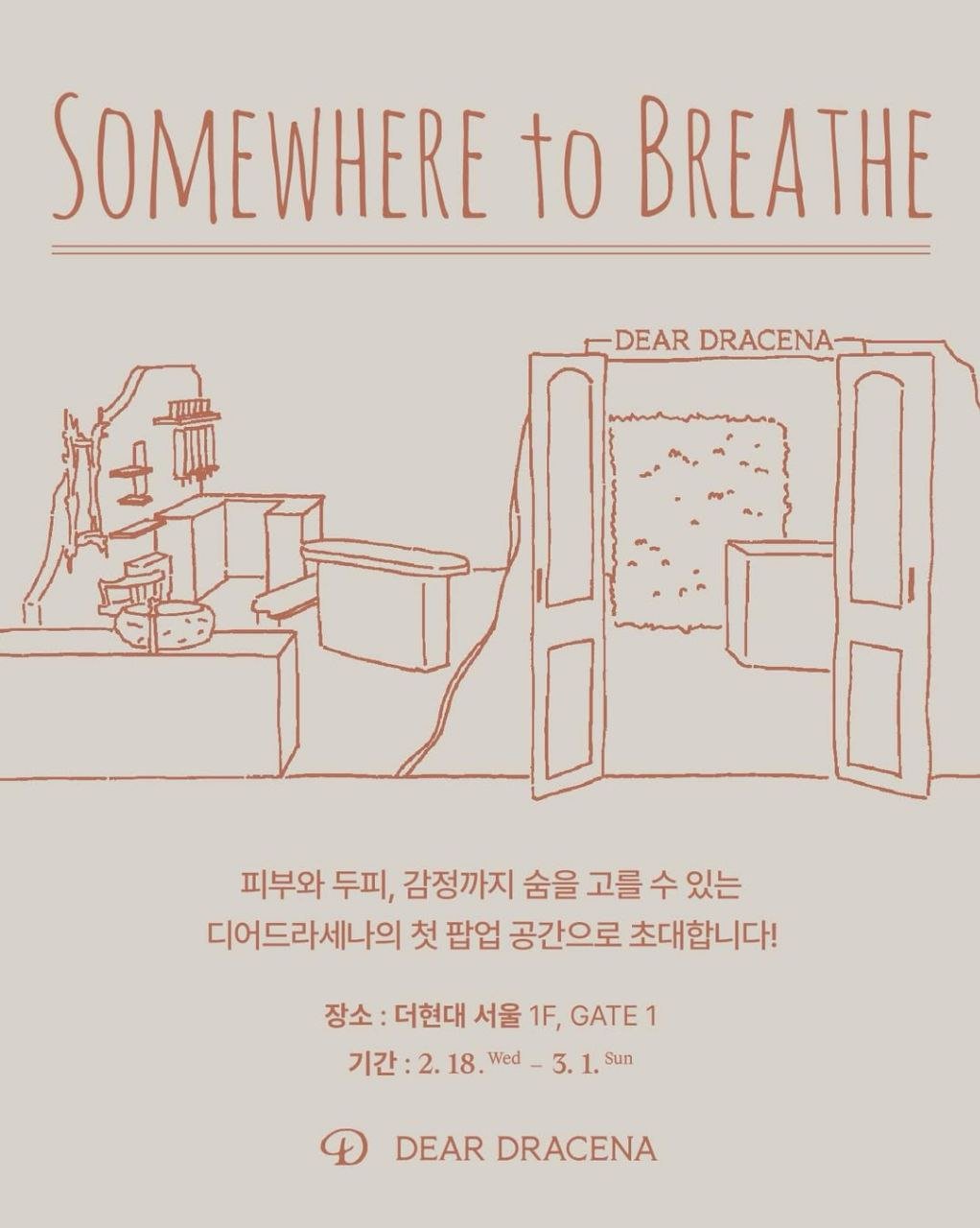 디어드라세나 팝업